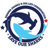 save our sharks
